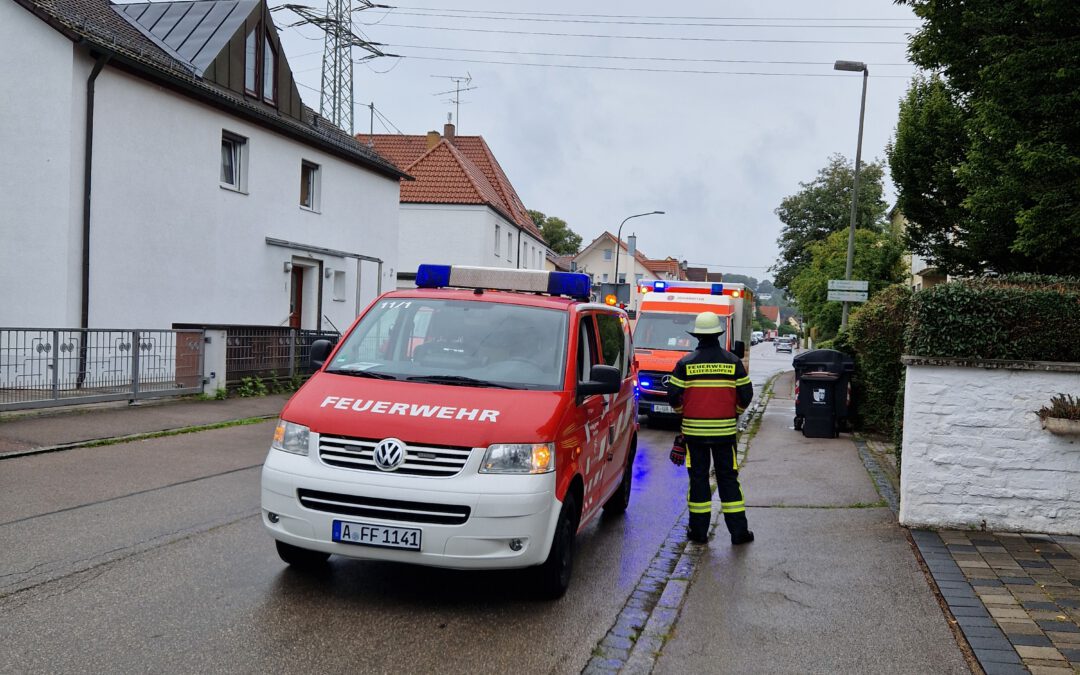 THL – Person eingeschlossen (24/2025)