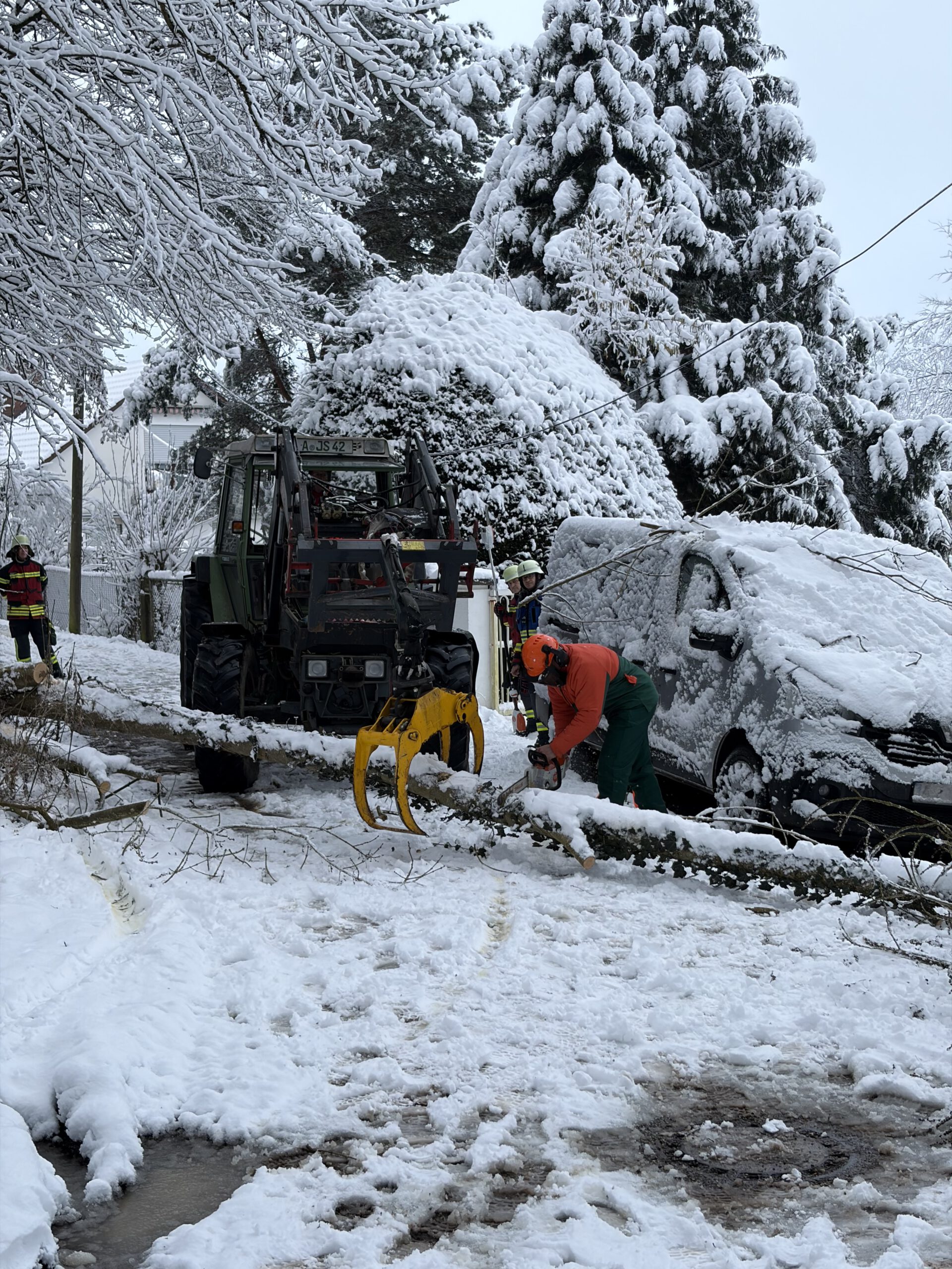 THL – Baum auf Fahrbahn (09/2026)